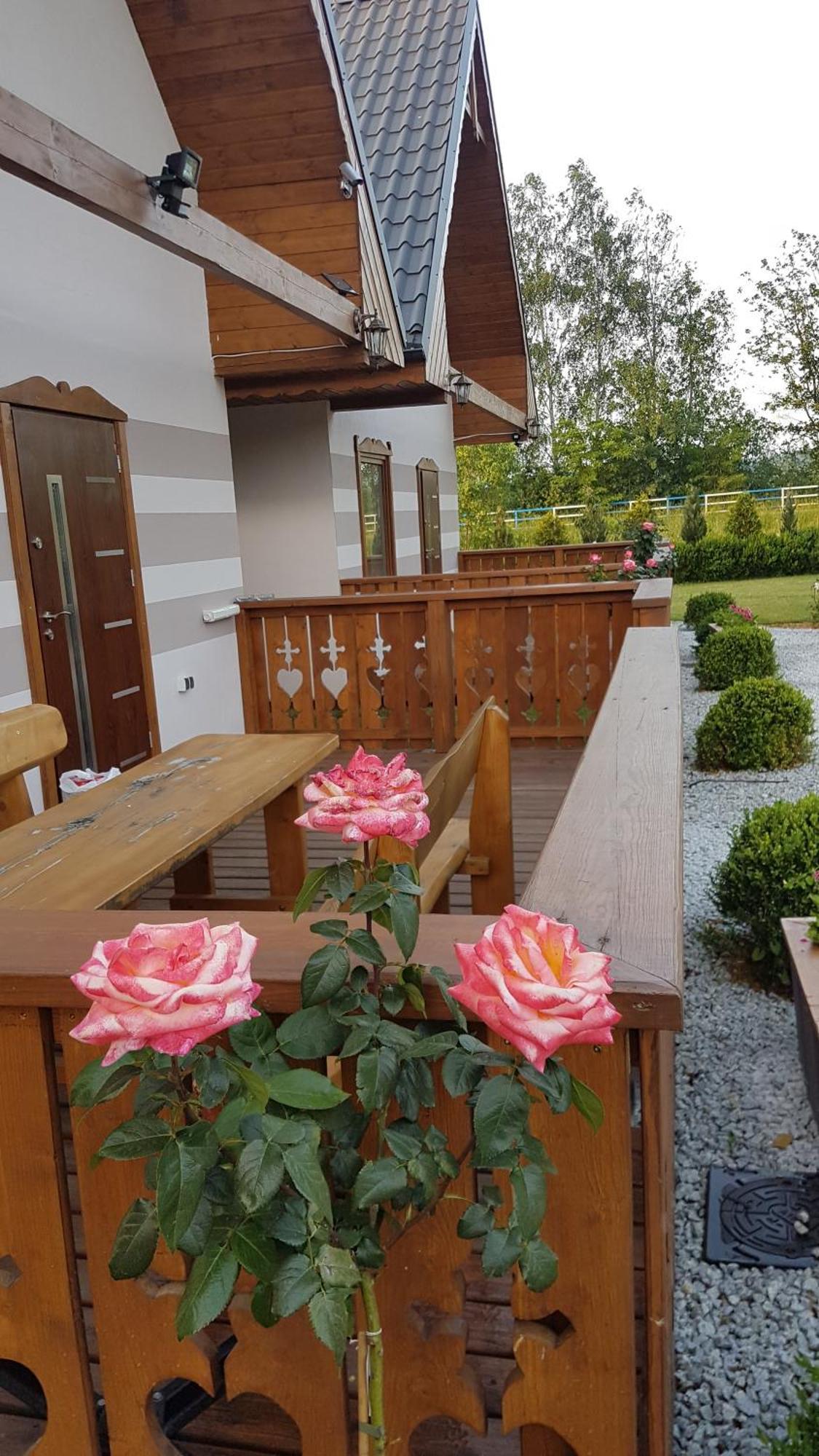 Domki U Justyny Podgórzyn Extérieur photo